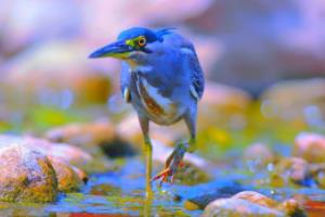 结论部分,总结他的贡献,并表达对他未来成就的信心。ifa反波胆足球创始人